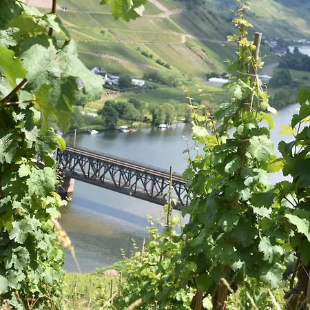 Mosel-refugium Nr 5 * צל אן דר מוזל