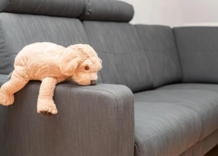 Mosel-refugium Nr 5 בית נופש